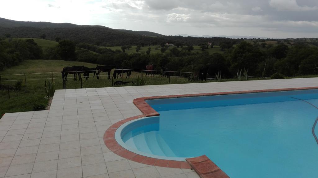 Agriturismo Collelungo Di Maremma Diaccialone Eksteriør bilde