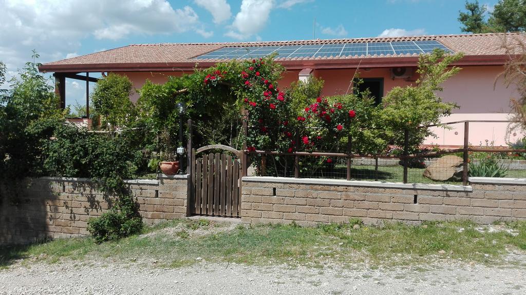 Agriturismo Collelungo Di Maremma Diaccialone Eksteriør bilde