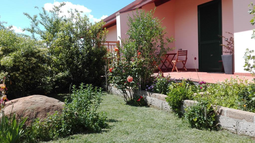 Agriturismo Collelungo Di Maremma Diaccialone Eksteriør bilde
