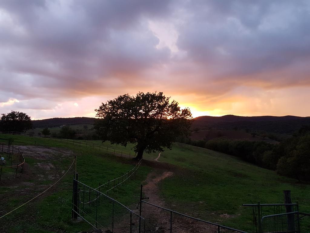 Agriturismo Collelungo Di Maremma Diaccialone Eksteriør bilde